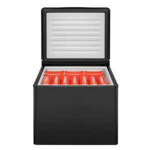SnoMaster - 40L Gas/12V/220V Portable Fridge