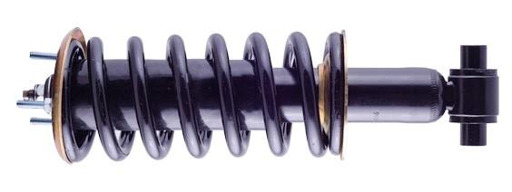 Shock Absorber & Spring