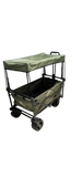 Roof for Big Wheel Trolley